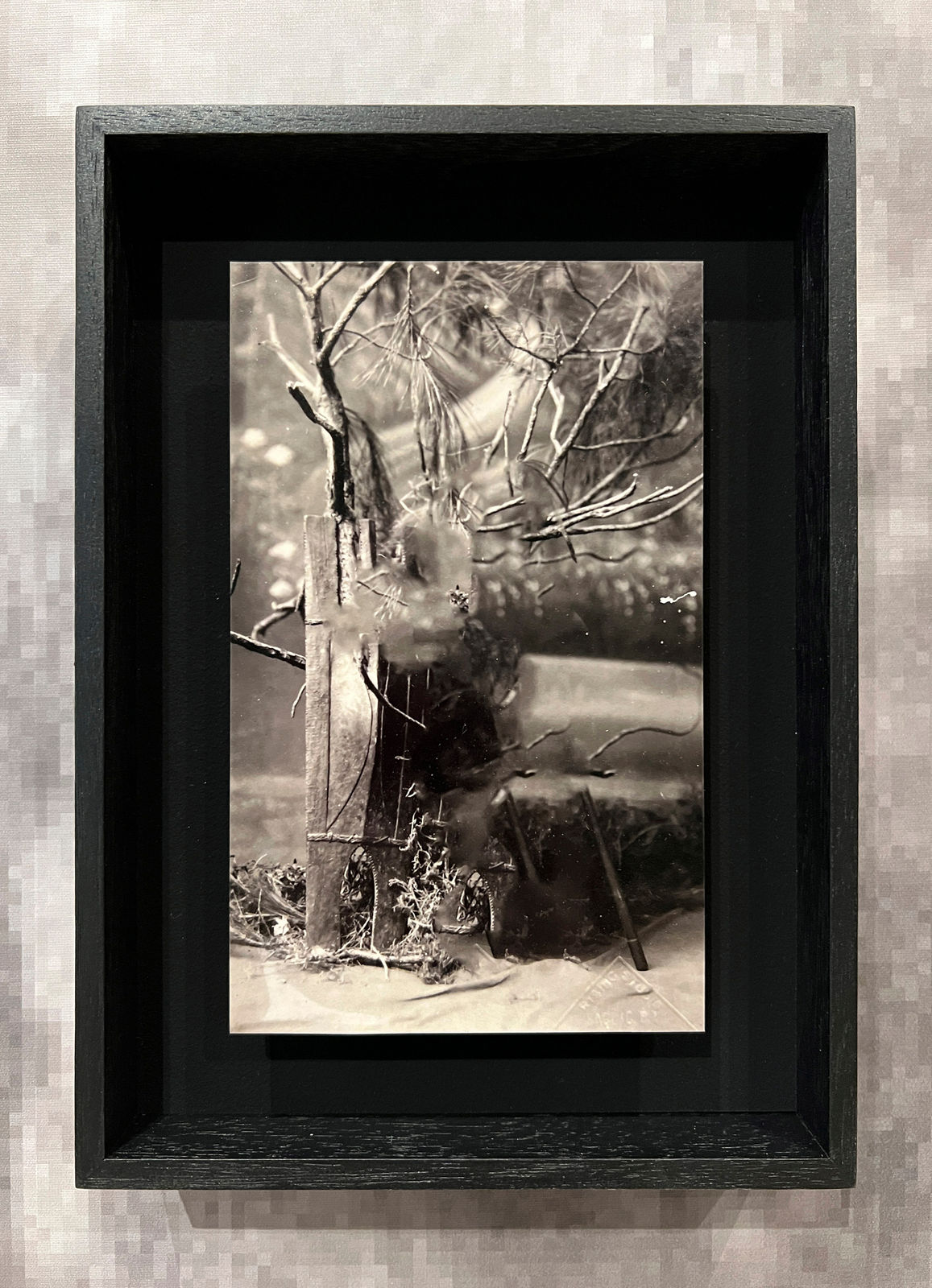 Stephanie Syjuco, Blind Spot 19 , 2019 - 2022