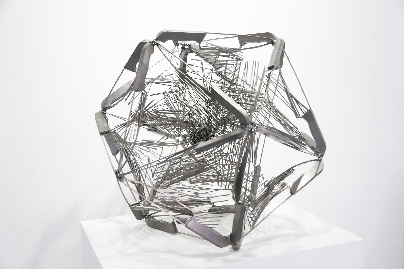 Li Hongbo, Bird, 2018