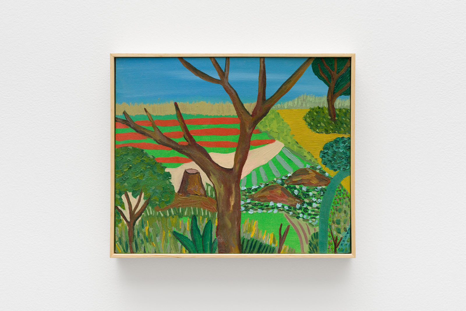 Matheus Chiaratti, Marteli (Os Jardins de Pau Lavrado) [Marteli neighbourhood (The Pau Lavrado Gardens series)], 2024