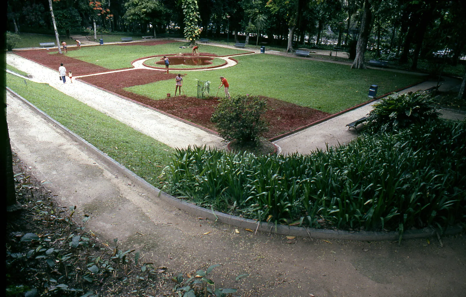 Katie van Scherpenberg, Jardim Vermelho [Red Garden], 1986