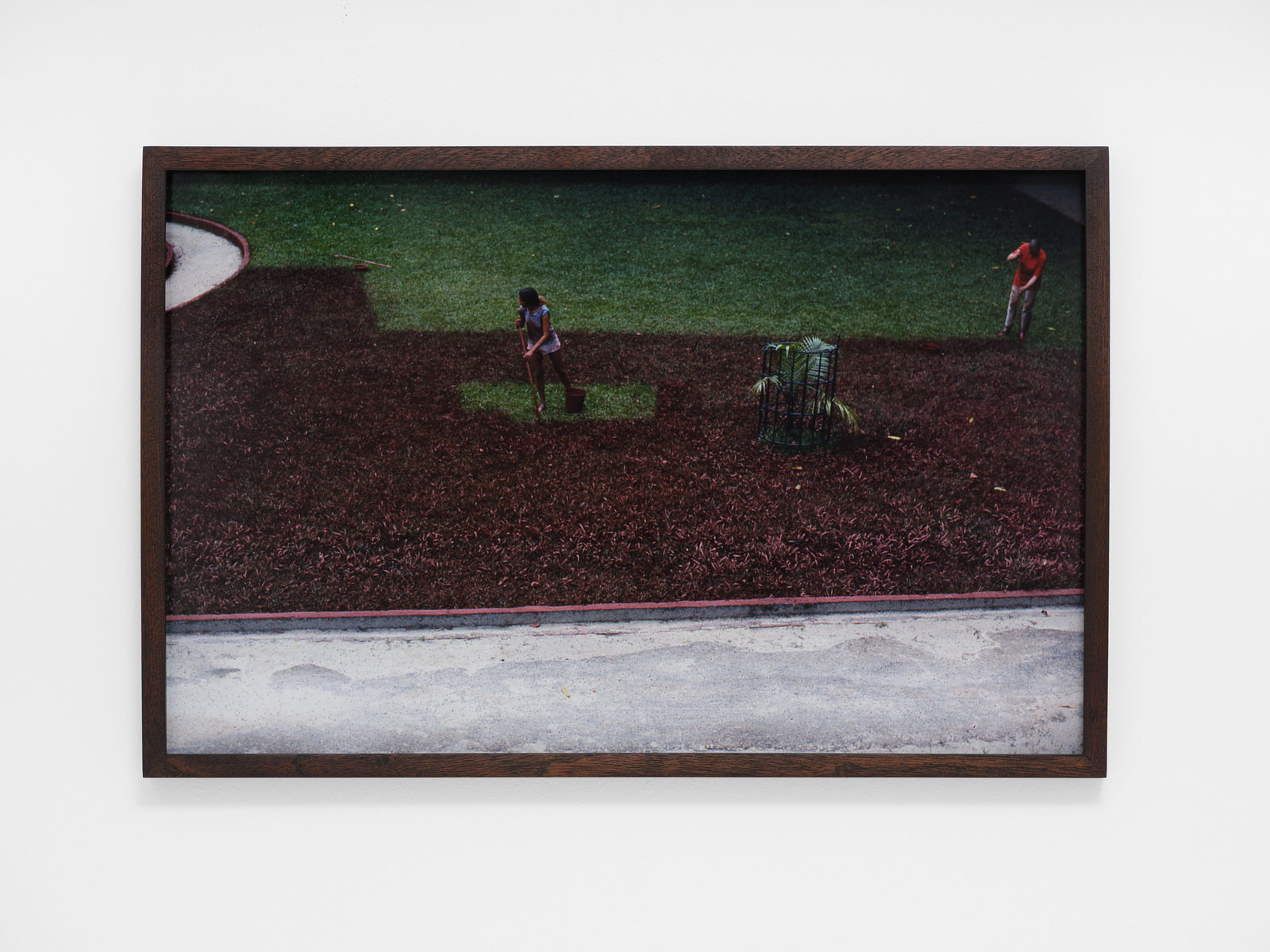 Katie van Scherpenberg, Jardim Vermelho [Red Garden], 1986/2023