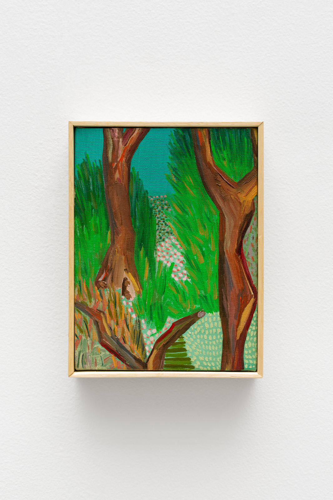 Matheus Chiaratti, Quaresmeira (Os Jardins de Pau Lavrado) [Princess flower (The Pau Lavrado Gardens series)], 2024