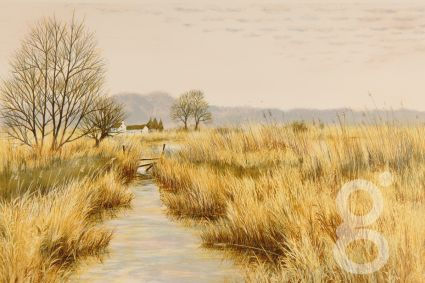 Jeremy King, Marshland