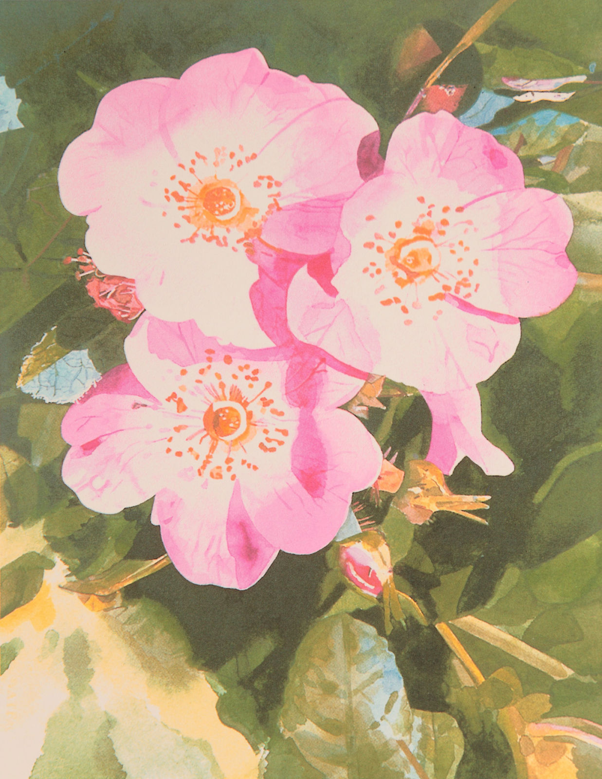 Peter Blake, Dog Rose, 2005