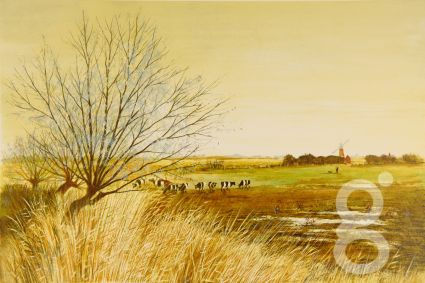 Jeremy King, Stracey