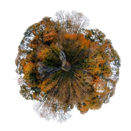 Graham Bannister, Gitia Autumn Sphere