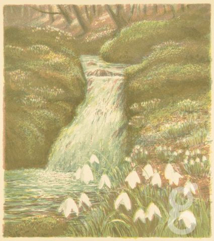 Joy Brand, Snowdrop Wood I