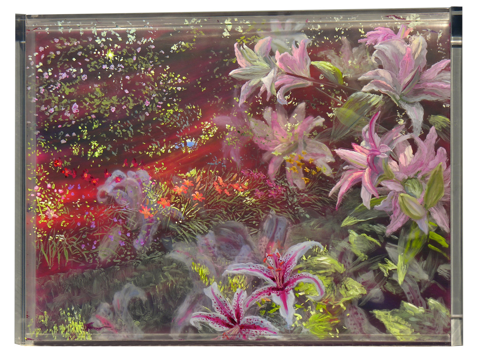 Martin Weinstein, Lily Beds, 4 Years, 2019