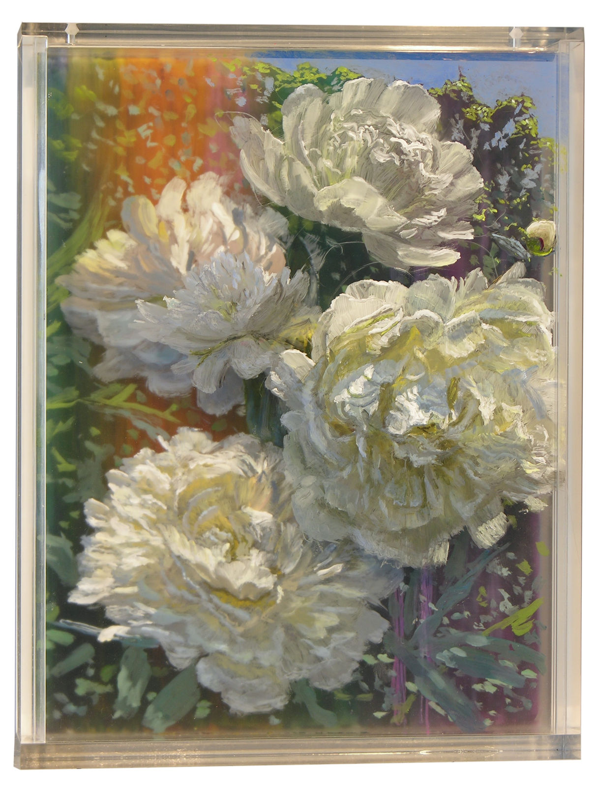 Martin Weinstein, Peonies, Afternoons, 5 Years, 2019