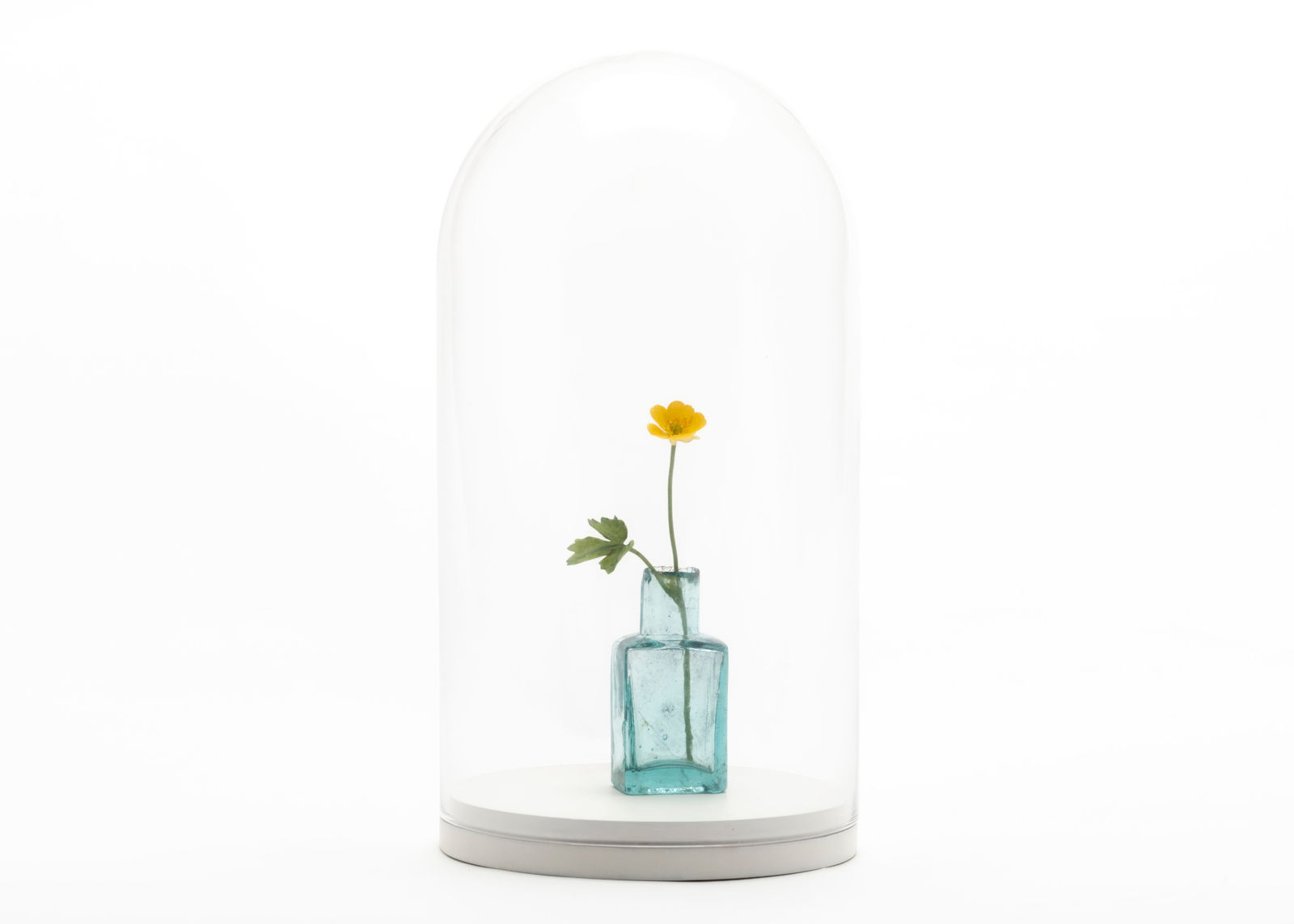 Annette Marie Townsend, The Collector 1