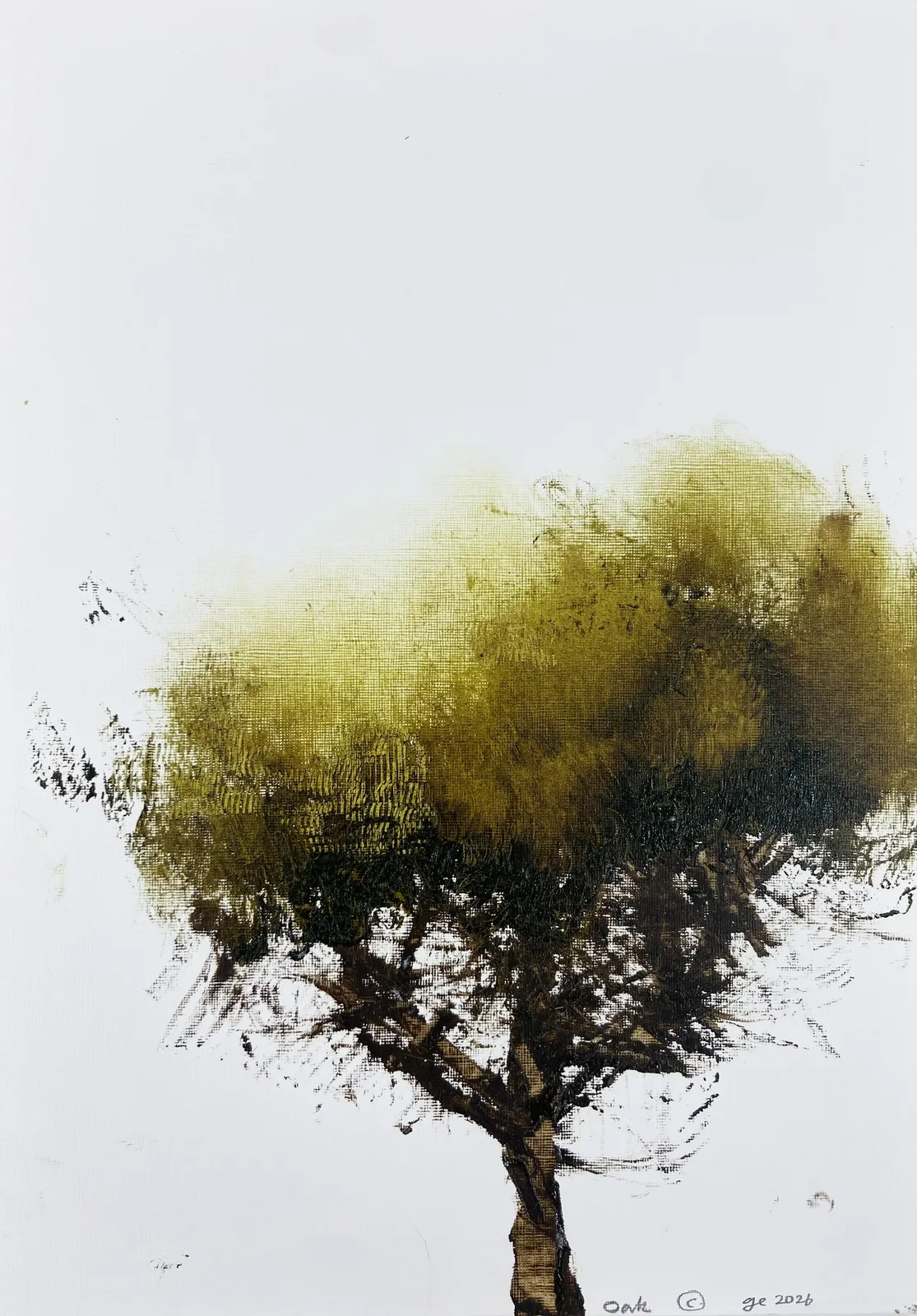 Gareth Edwards RWA, Summer Oak, 2025