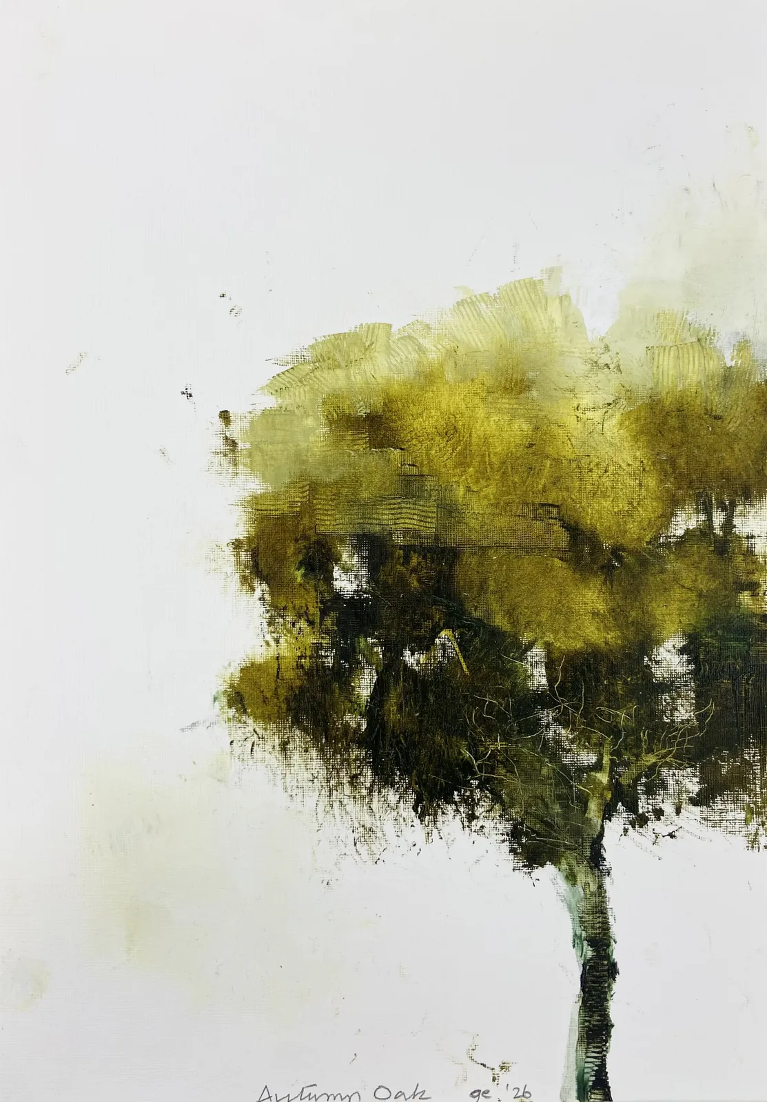 Gareth Edwards RWA, Autumn Oak, 2025