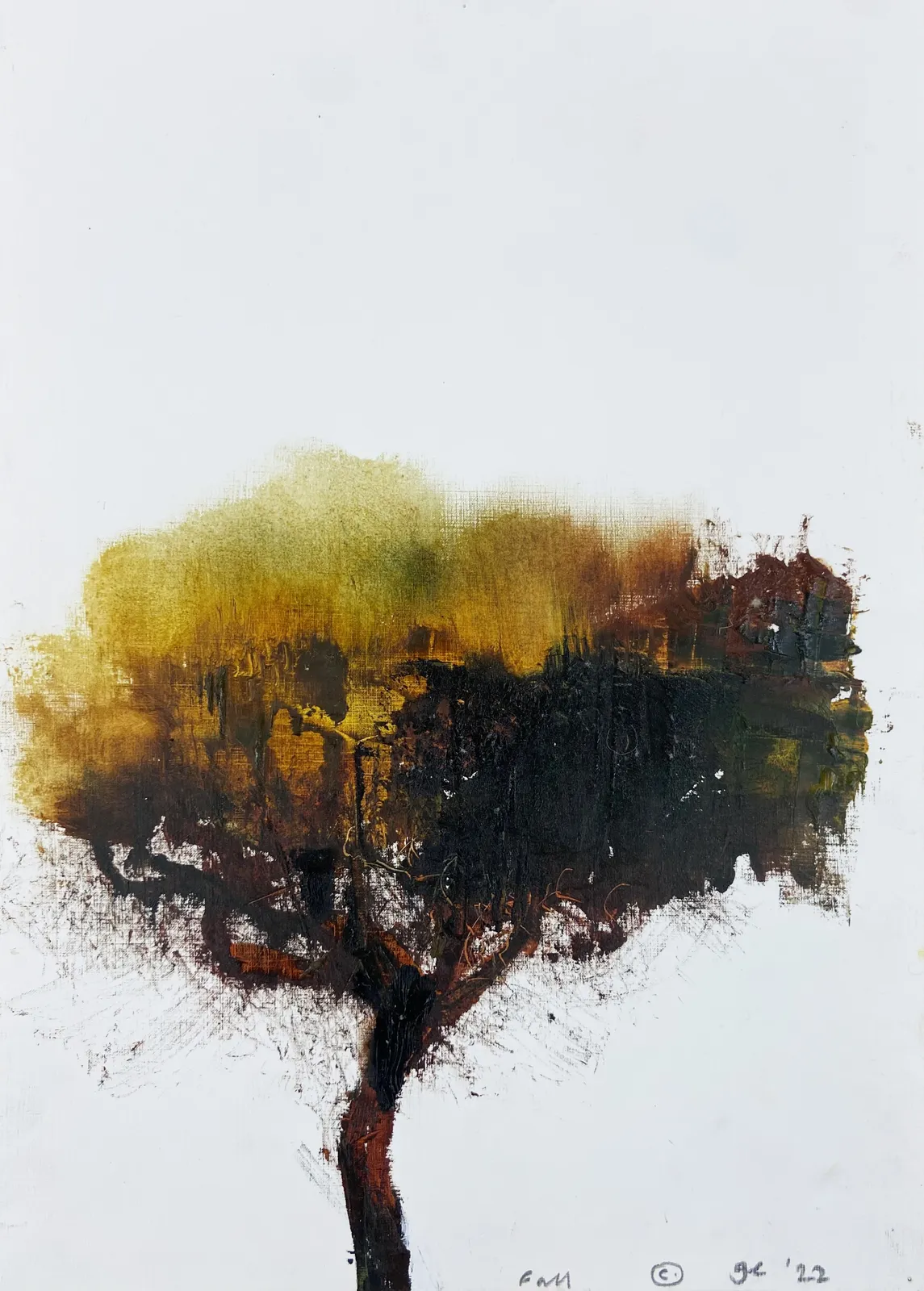 Gareth Edwards RWA, Fall, 2022