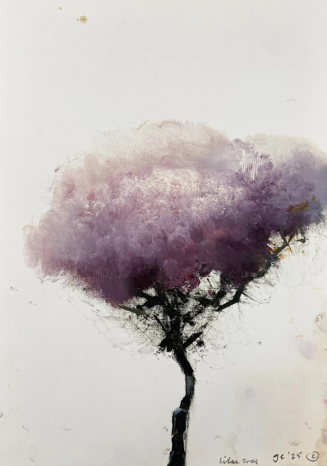 Gareth Edwards RWA, Lilac Tree, 2025