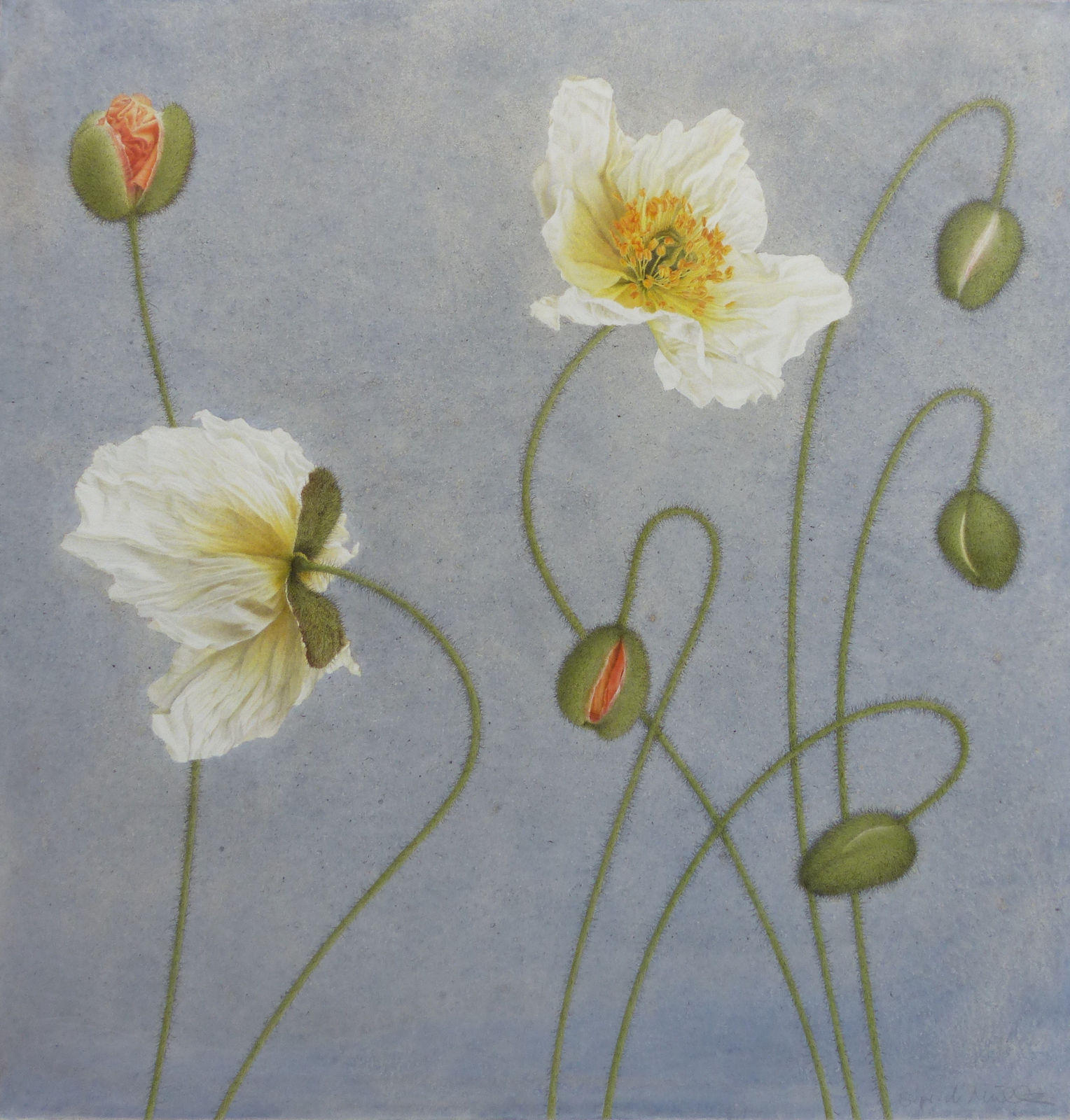 Sigrid Muller, Champagne Bubble Poppies, 2023