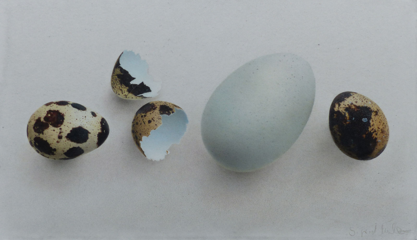 Sigrid Muller, Rolling Eggs, 2024