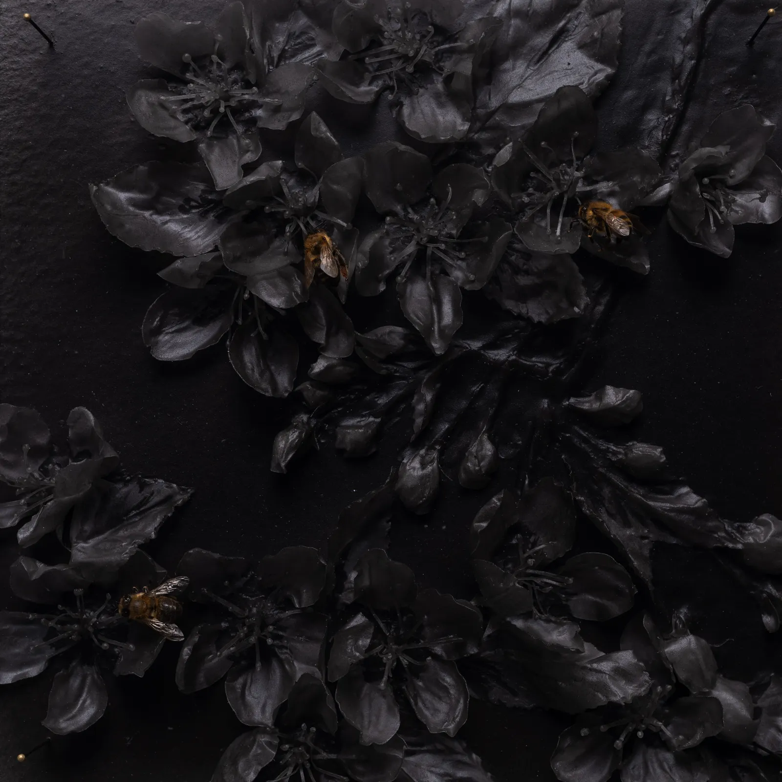 Annette Marie Townsend, Malus Sylvestris AMT.26.03.002