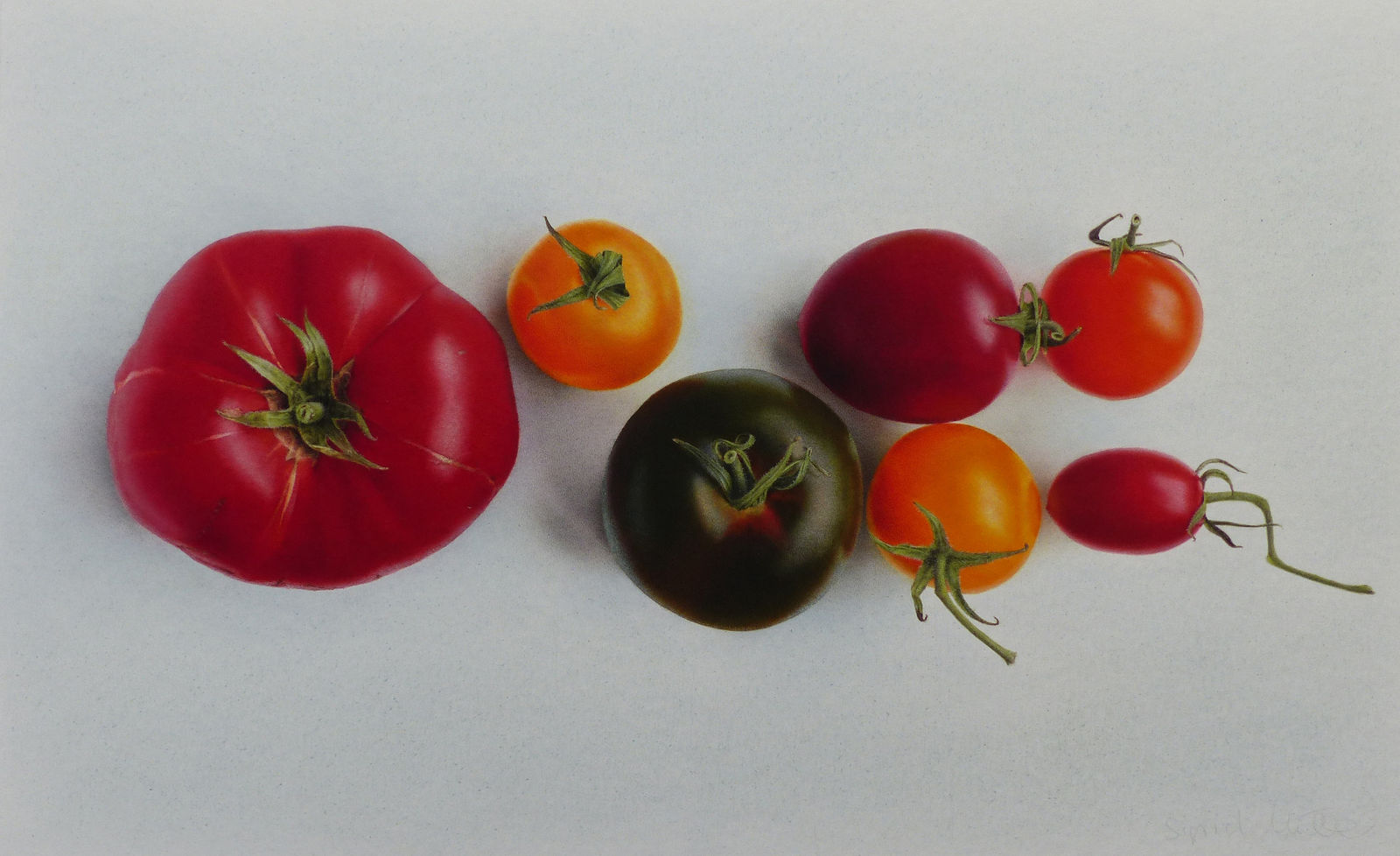 Sigrid Muller, Heritage Tomatoes, 2023