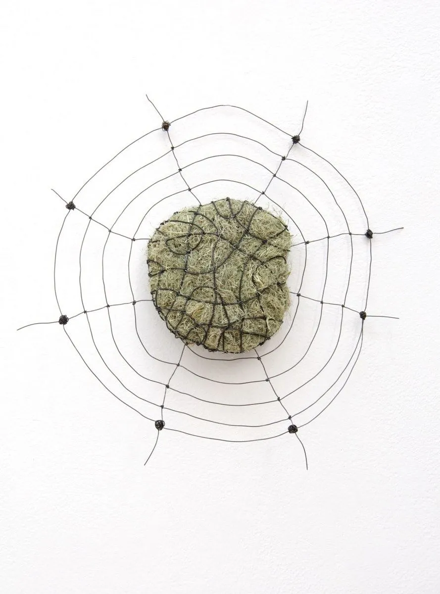 Mari Andrews, Satellite, 2020