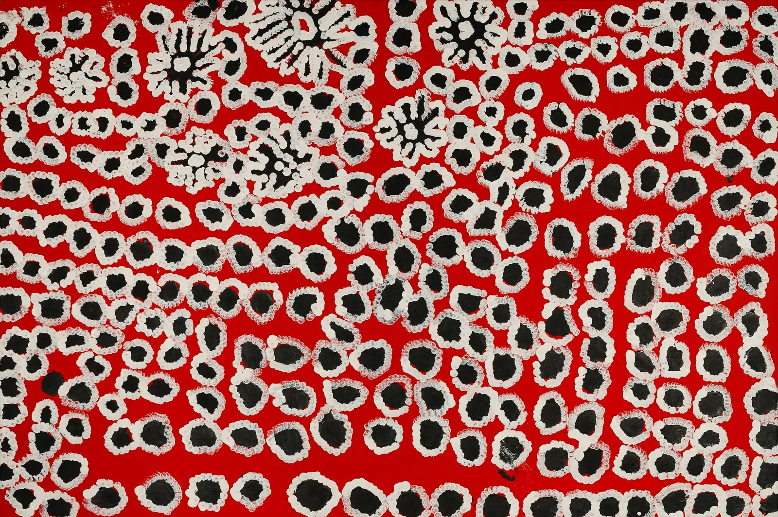 Kunmanara (Harry) Tjutjuna, Spiderman/Wati Wangka, 2006