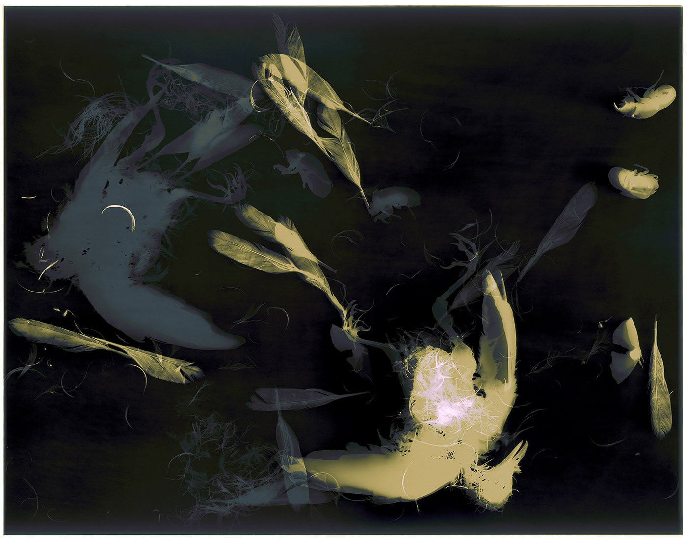 Harry Nankin, The Fall, 2021