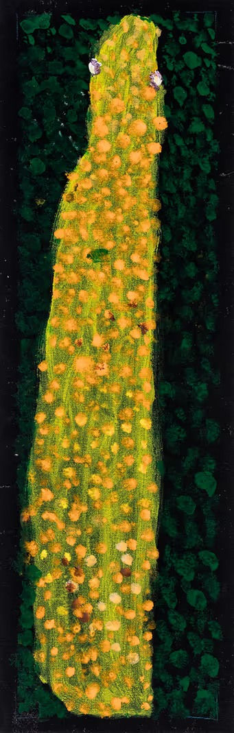 Reggie Uluru, Wati Ngintaka Perentie Lizard Man, 2023