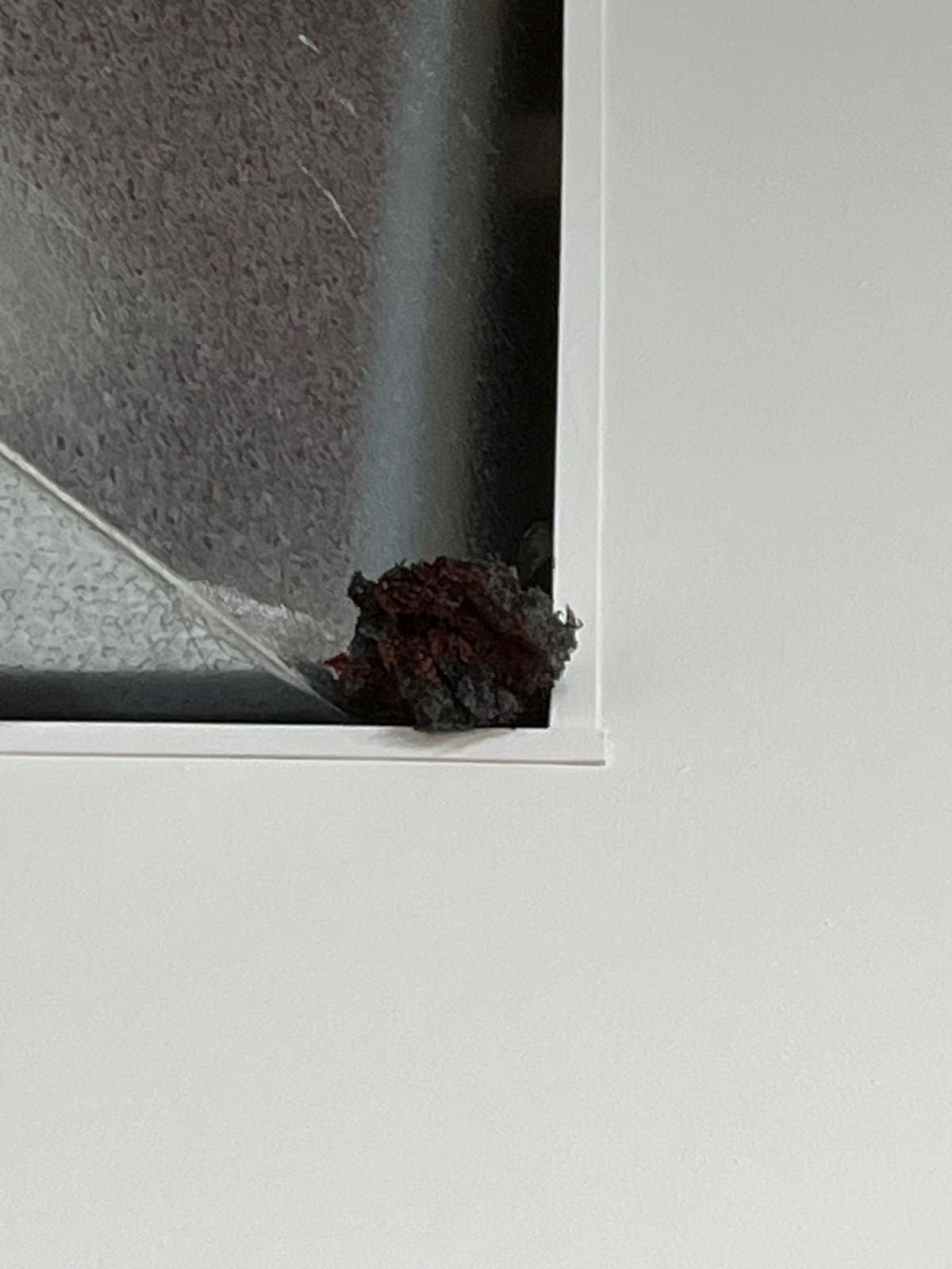 Nik Kennedy, The Creep In The Corner, 2024