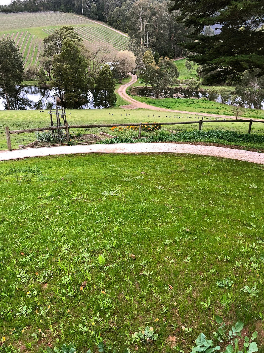 Fred Schepisi, Landscape #5, 2023