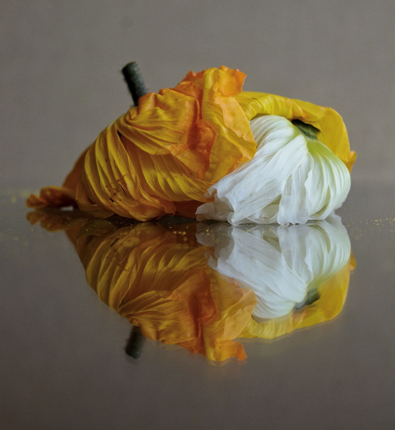 Carlo Golin, Yellow On White, 2022