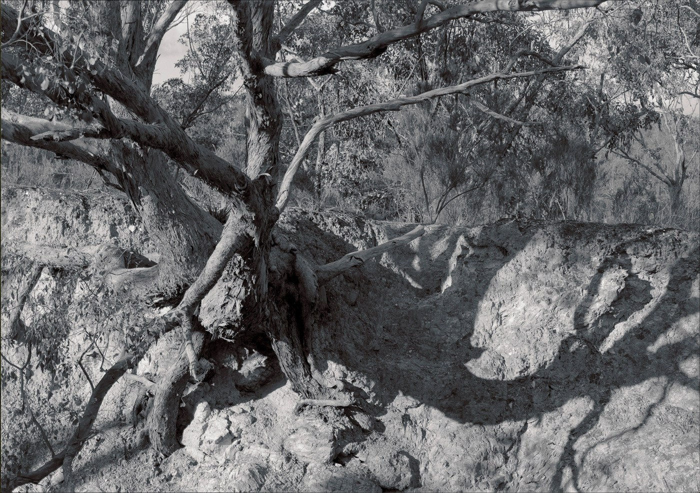 Harry Nankin, Acts Of Ritual (Djanduk #1), 2021