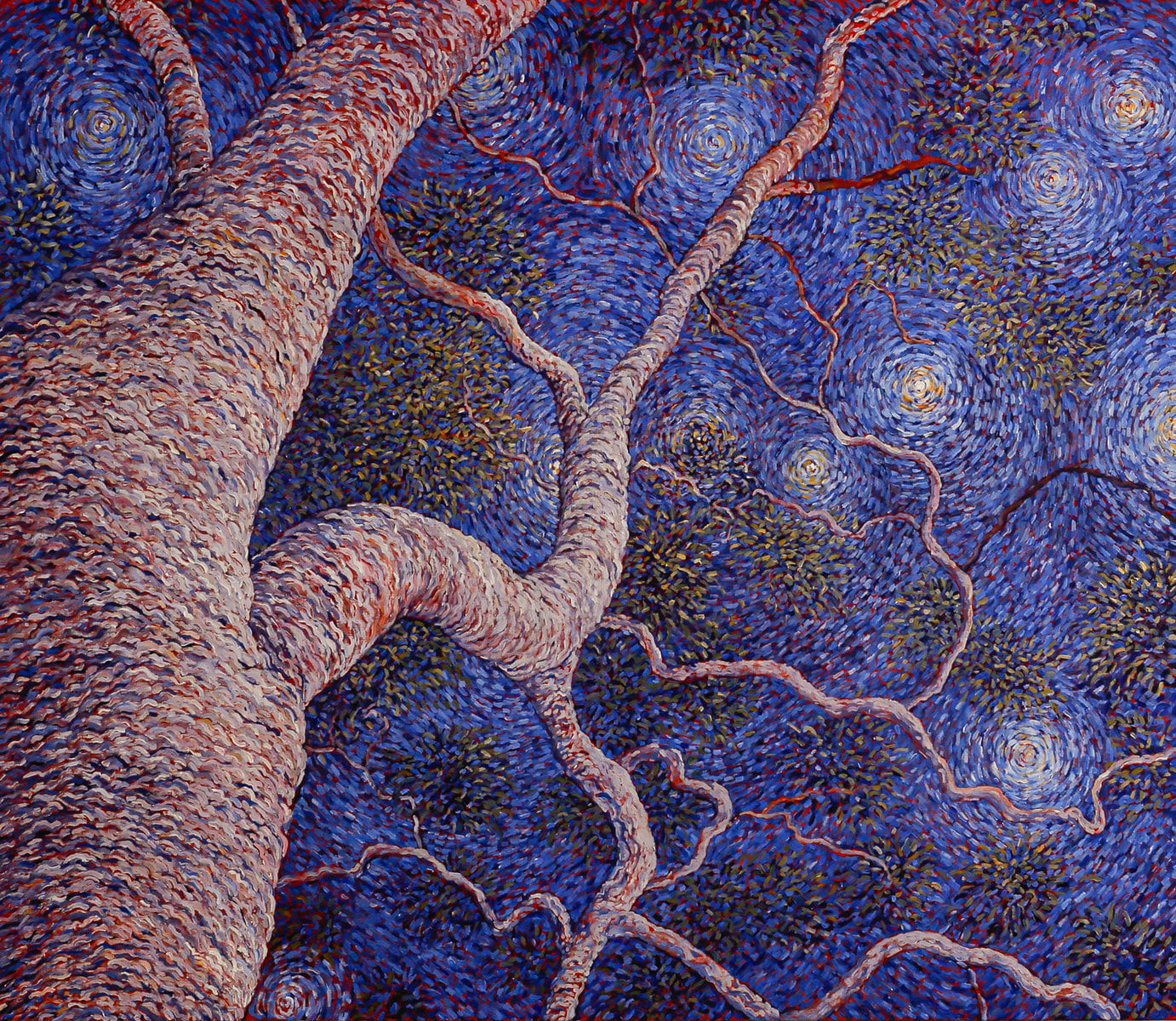 Sarah Brown AM, Stars, 2024