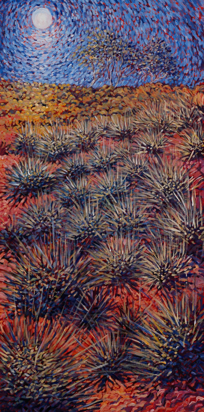 Sarah Brown, Kiwirrkurra Arvo, 2024