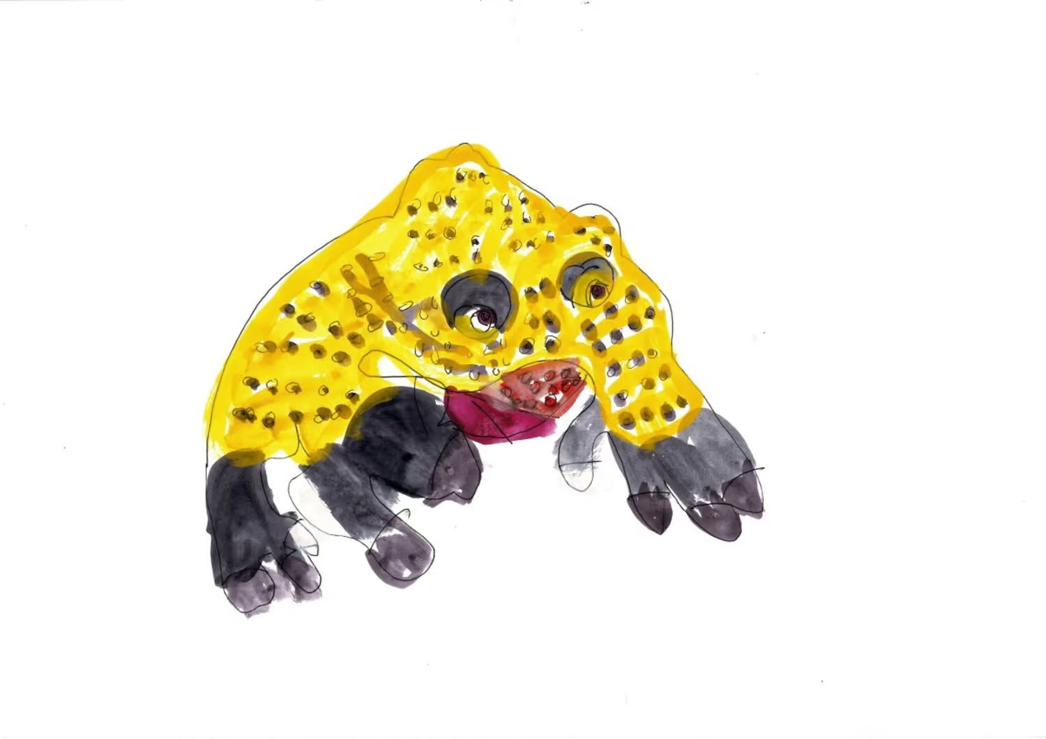 Conway Ginger, Frog, 2024