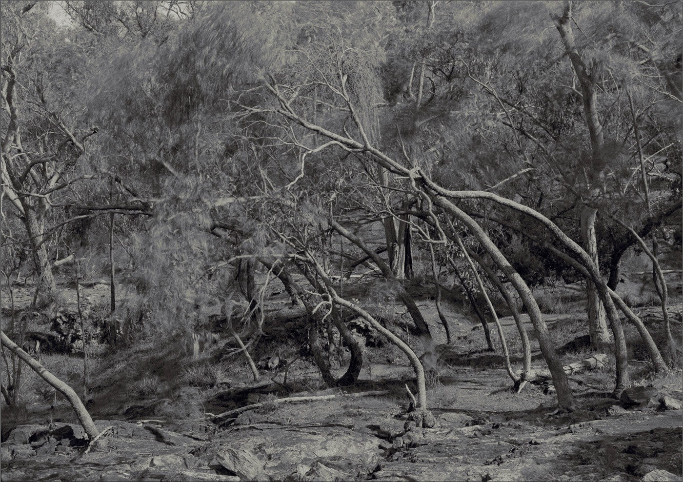 Harry Nankin, Acts Of Ritual (Djanduk #2), 2021