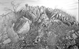 Rod Moss, Garden, little garden, how your million Small Stars do Bloom, 2025