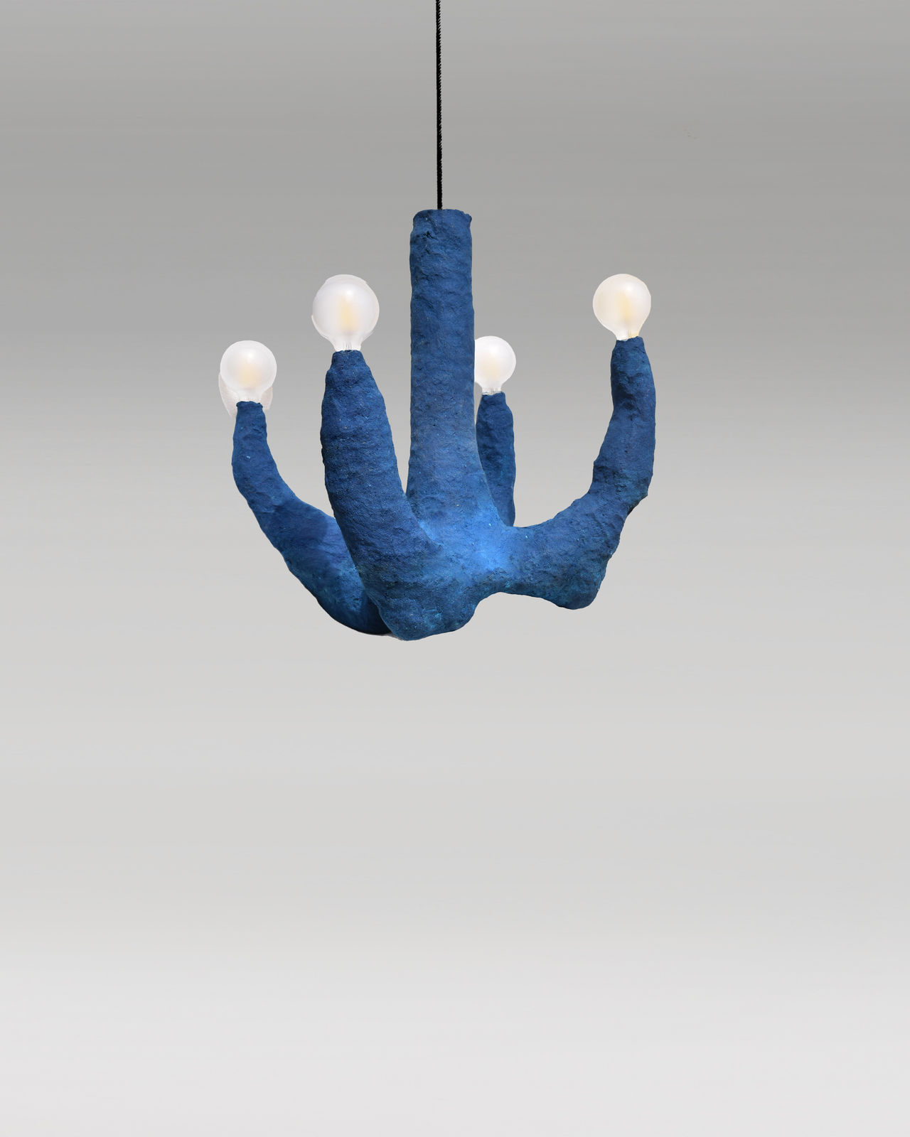 Jonathan Bocca, Corallo Blu, 2023