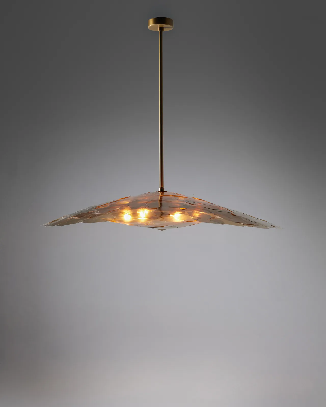 Jean-Gabriel Neukomm, Nephelepsis - Amber, 2025