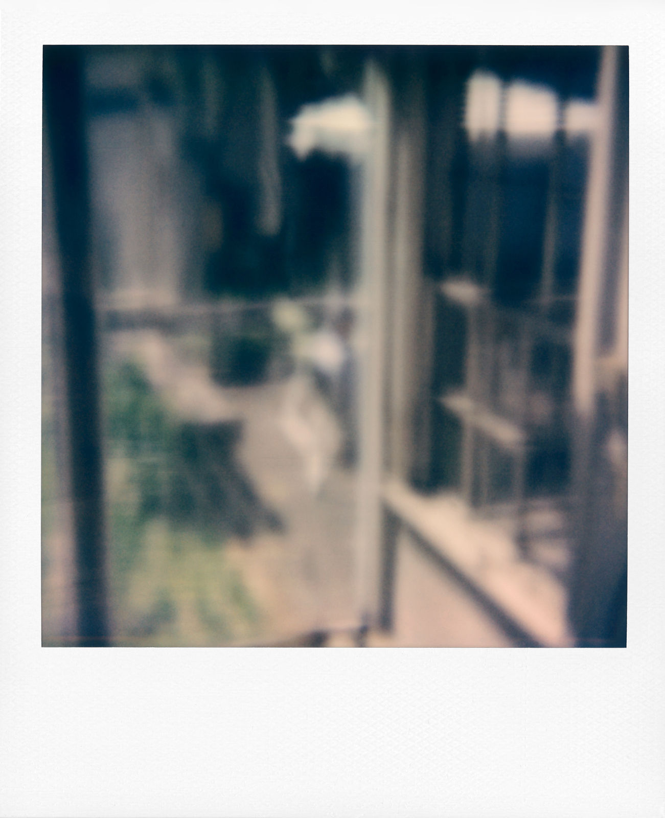 Sean Donnola, Untitled, 2020