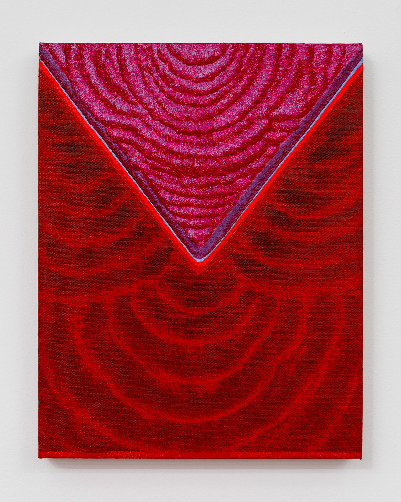 Lily Stockman, Border of Camellias, 2024