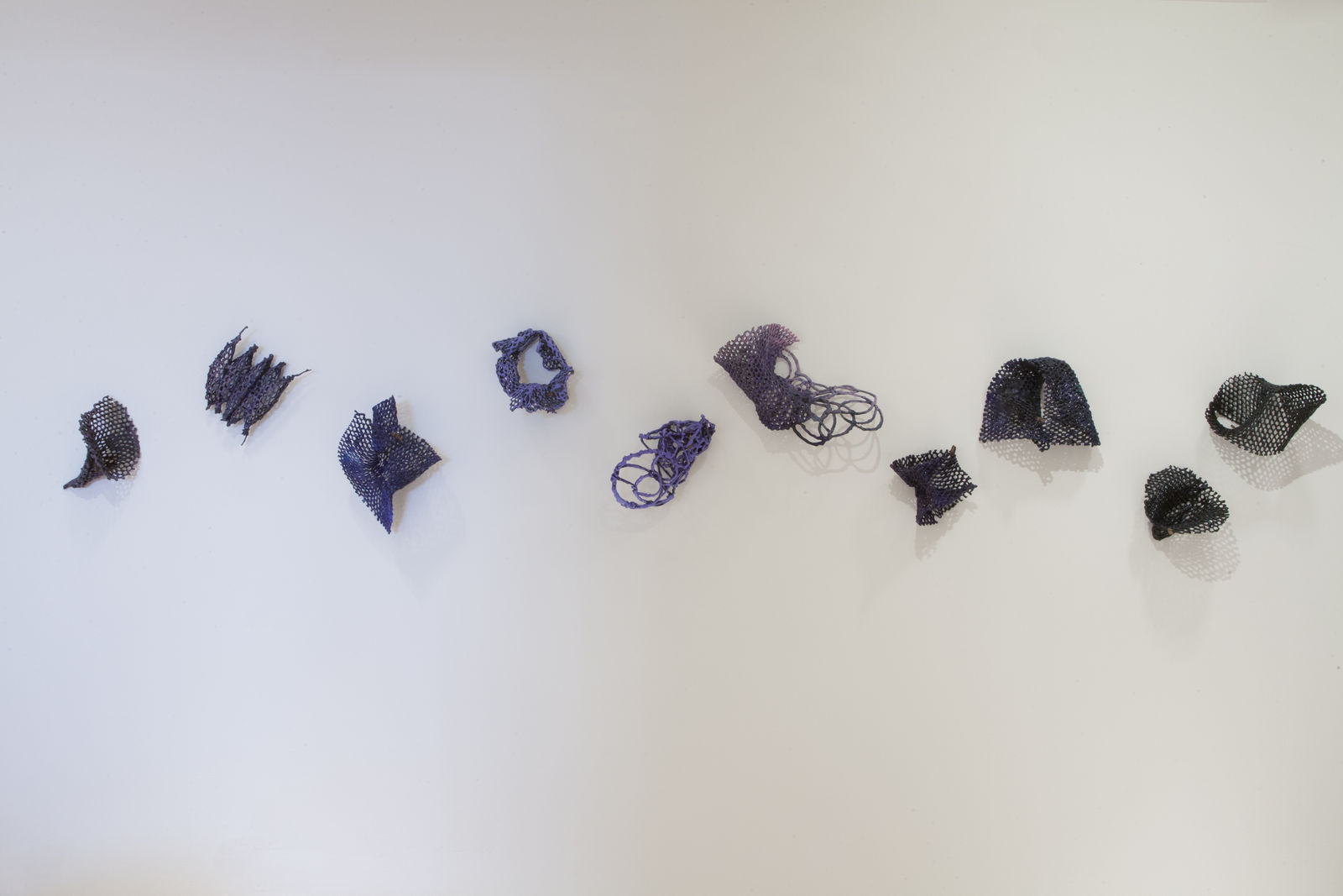 Kelly Sheppard Murray, 31. Known Since Antiquity (Grouping of 10 Curiosities), 2016-2020