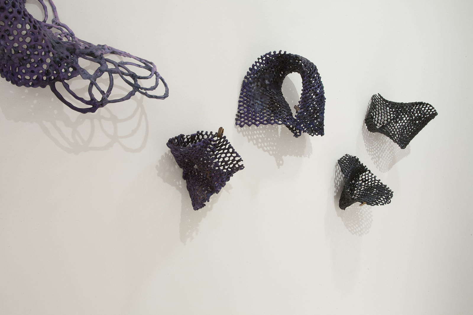 Kelly Sheppard Murray, 31. Known Since Antiquity (Grouping of 10 Curiosities), 2016-2020