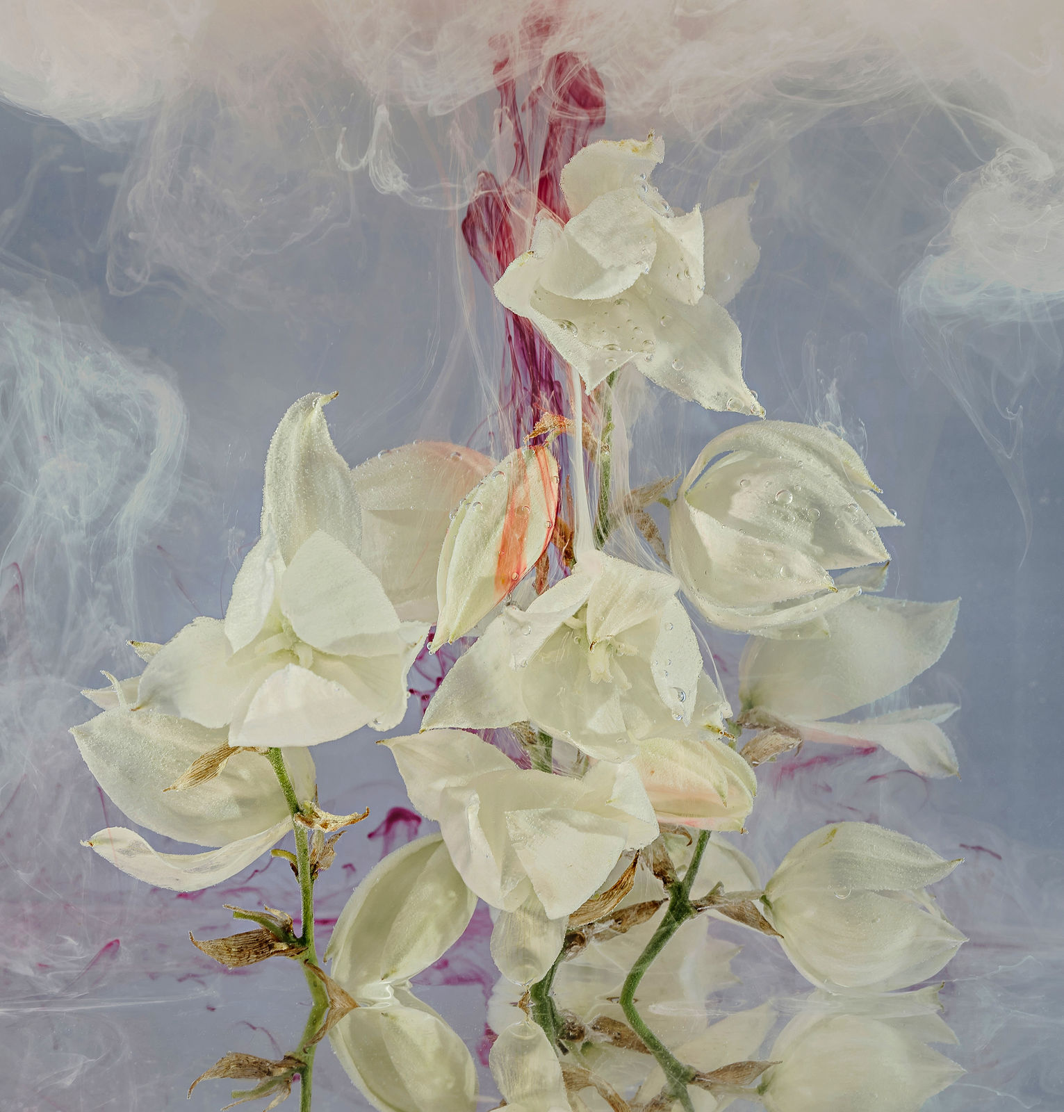 OLGA VOLIANSKA, Water's Flowers #8