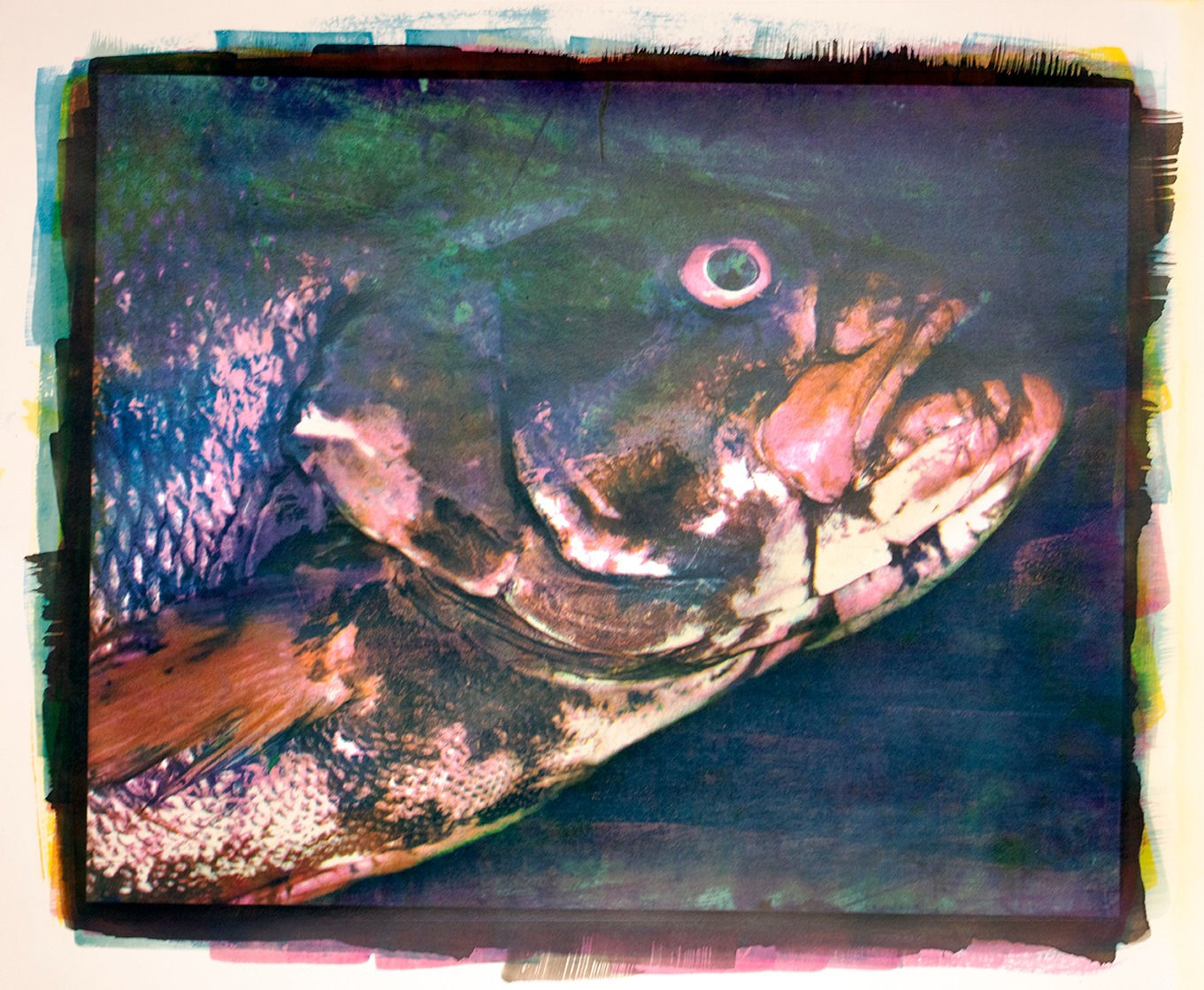 CHRISTINE FITZGERALD, Micropterus dolomieu, 2021