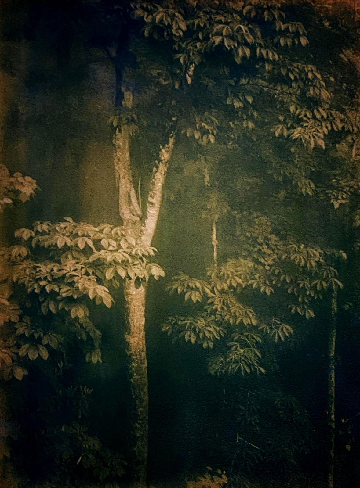 DIANA BLOOMFIELD, Fog over Saul’s Camp, 2021