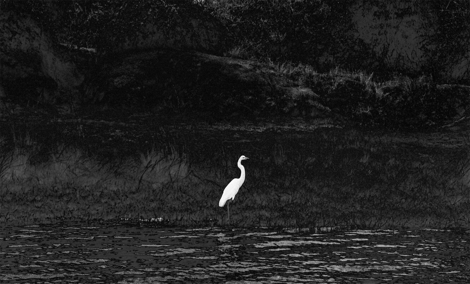 OSHEEN HARRUTHOONYAN, The Crane & the Orbs