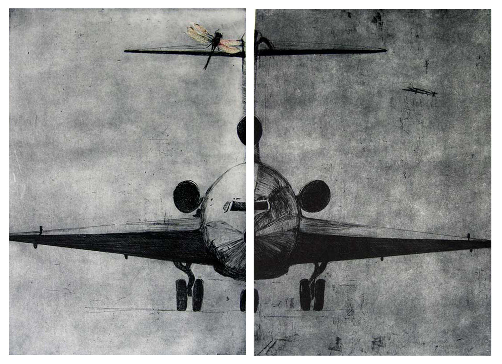 Tanujaa Rane, Angel of this Land II , 2005