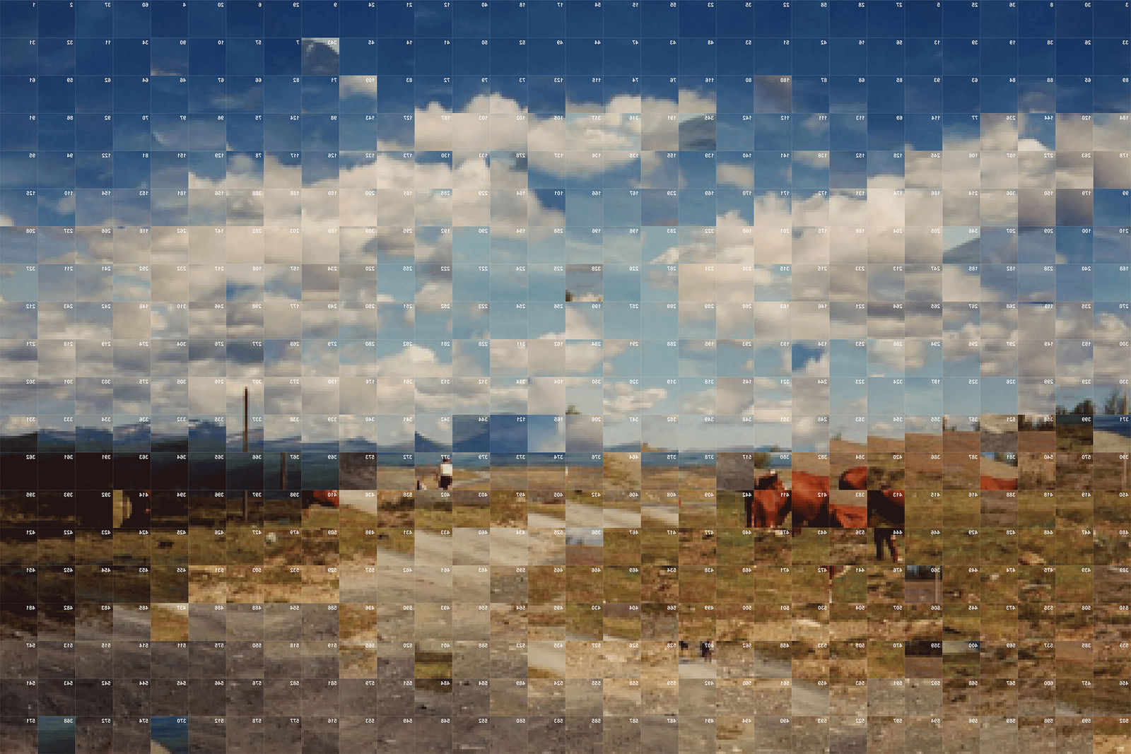 Rashid Rana, Landscape to a Landscape III (The Other Self), 2019