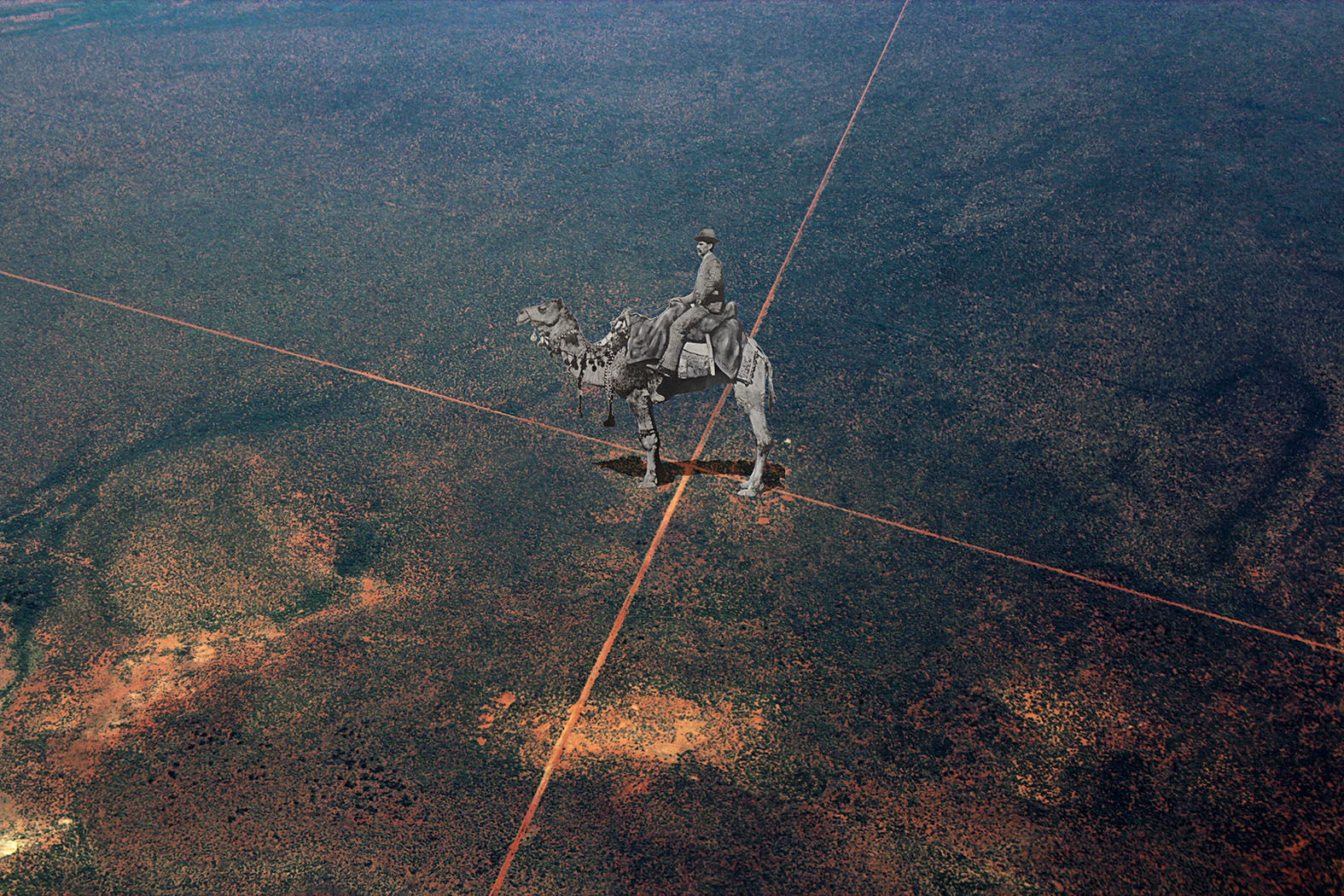 Archana Hande, The Golden Feral Trail Location: Laverton, Western Australia Wangai Land Indian Ocean Trade, 2013-14