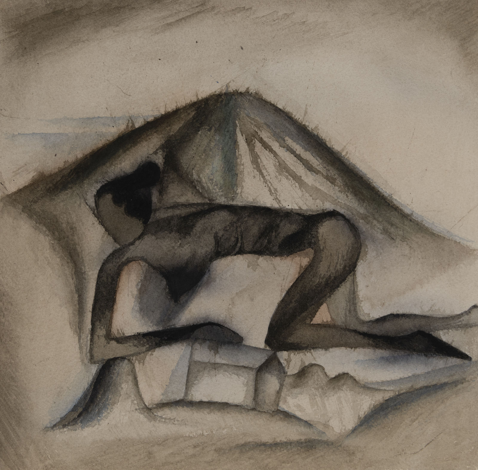 Atul Dodiya, Study of a Santhal Woman - I, 2001 - 2019