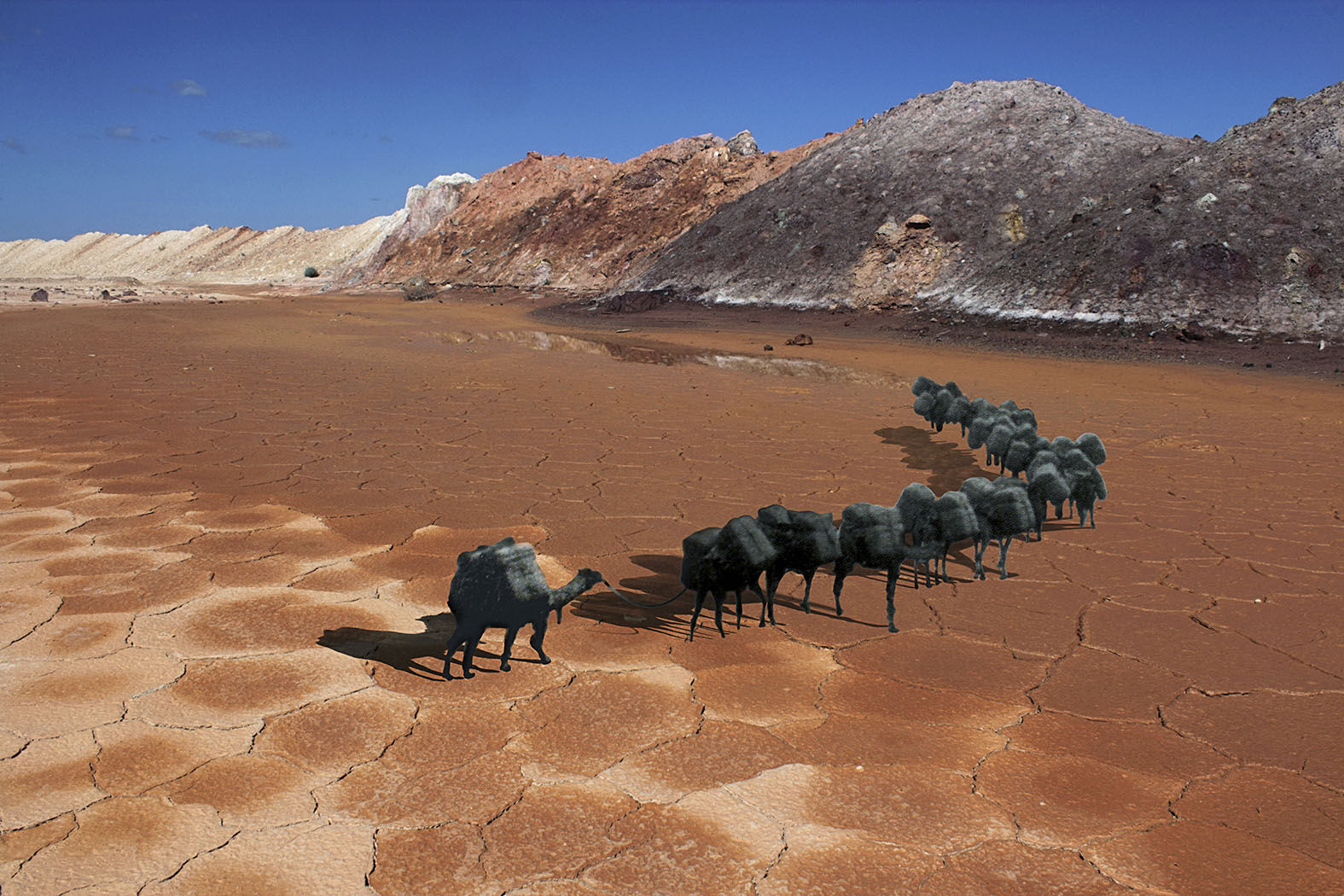 Archana Hande, The Golden Feral Trail Location: Laverton, Western Australia Wangai Land Indian Ocean Trade, 2013-14